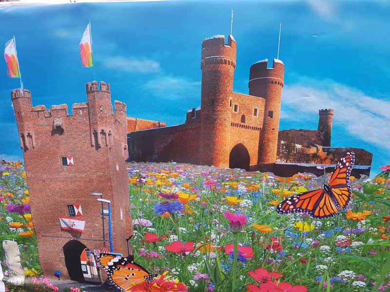 Natur- und Klimaschutz